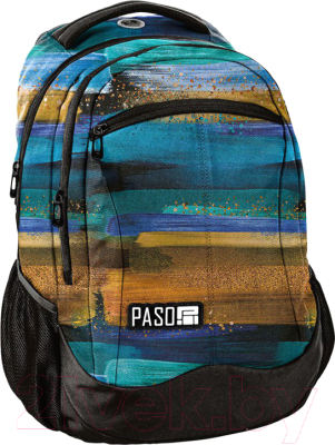 

Школьный рюкзак Paso, 18-2808/16SI