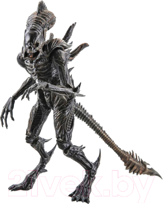 Фигурка коллекционная Hiya Toys Aliens Colonial Marines Xenomorph Raven / TM20021