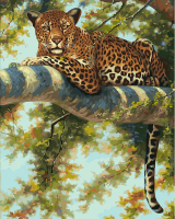 Картина по номерам БЕЛОСНЕЖКА Леопард в тени ветвей / 276-AB - 