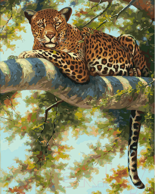 Картина по номерам БЕЛОСНЕЖКА Леопард в тени ветвей / 276-AB