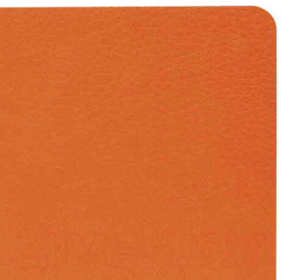 Ежедневник Brauberg Stylish / 111864 (оранжевый, кожзам)