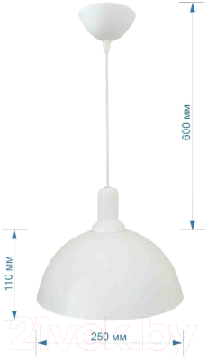 Потолочный светильник Apeyron Electrics 15Вт 220В / 12-101 (белый)