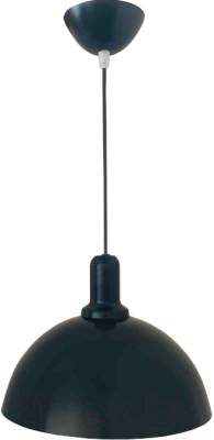 Потолочный светильник Apeyron Electrics 15Вт 220В / 12-103 (черный)