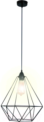 Потолочный светильник Apeyron Electrics Рагно 60Вт 220В / 14-36 (черный)