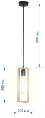 Потолочный светильник Apeyron Electrics Клэр 60Вт 220В / 14-41