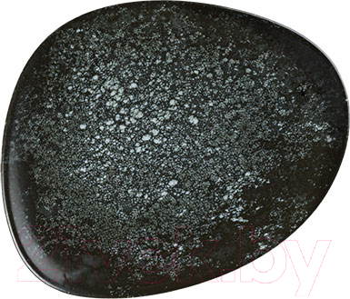 Тарелка столовая обеденная Bonna Cosmos Black Vago / COSBLVAO24DZ