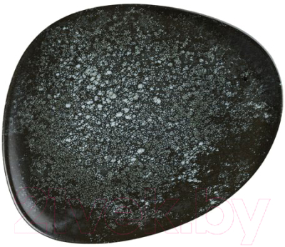 Тарелка столовая обеденная Bonna Cosmos Black Vago / COSBLVAO33DZ