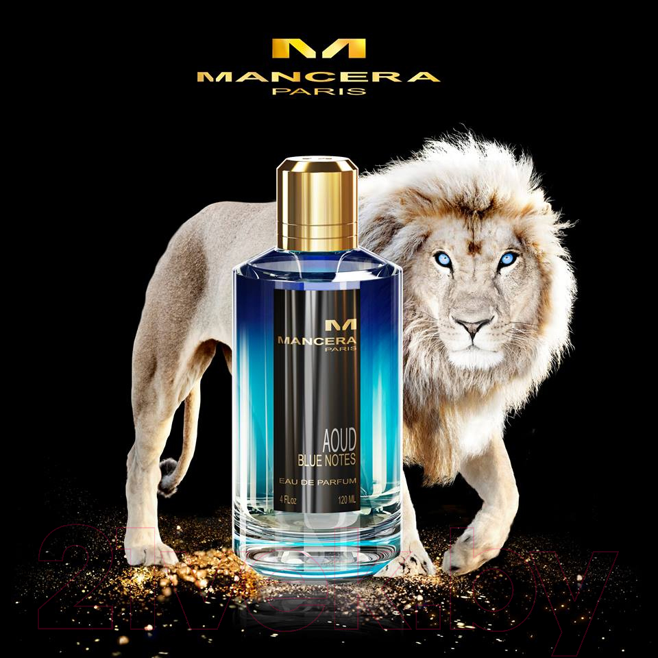 Парфюмерная вода Mancera Aoud Blue Notes (120мл)