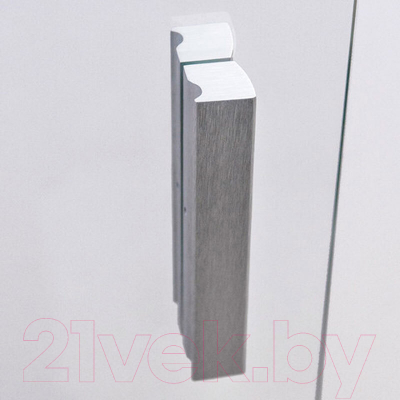 Душевая дверь Roth LZDO1/90 + LZ (хром/прозрачное стекло)