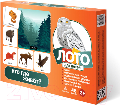 

Лото Десятое королевство, Кто где живет / 82