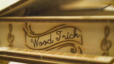 Музыкальная шкатулка Wood Trick Рояль / 1234-S9