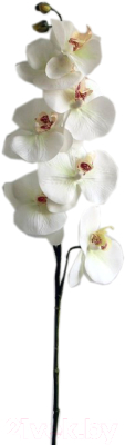

Искусственный цветок Orlix, Орхидея / 06-024-O/1