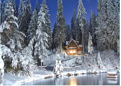 

Набор алмазной вышивки Darvish, Зимний лес / DV-9565-3