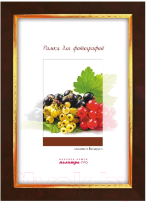 

Рамка ПАЛИТРА, 202/446В 30x40