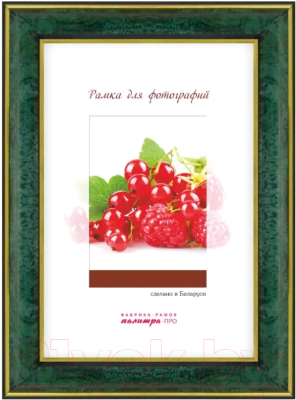 

Рамка ПАЛИТРА, 25/445 30x40