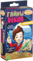 Набор для опытов Bondibon Исторические раскопки. Кузнечик / ВВ2003 - 