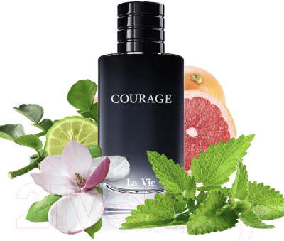 Парфюмерная вода Dilis Parfum Courage (100мл)