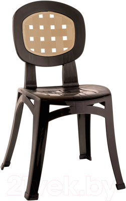 

Стул пластиковый Ellastik Plast, Элегант 41x40.5x84.5
