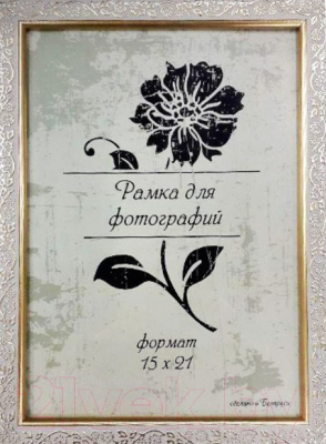 

Рамка ПАЛИТРА, 1513/65 21x30