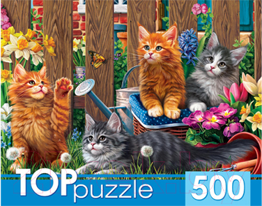 

Пазл РЫЖИЙ КОТ, Котята Мейн-Кун / ХТП500-4213