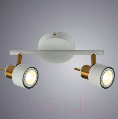 Потолочный светильник Arte Lamp Almach A1906PL-2WH