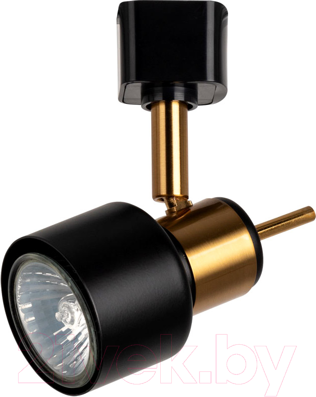 Спот Arte Lamp Almach A1906PL-1BK