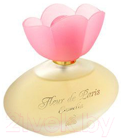 

Парфюмерная вода Positive, Fleur De Paris Camelia