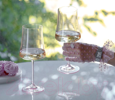 Набор бокалов Stenova Home Home Astoria Rose 611014 (2шт)