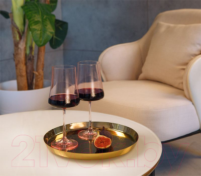 Набор бокалов Stenova Home Home Astoria Rose 611014 (2шт)