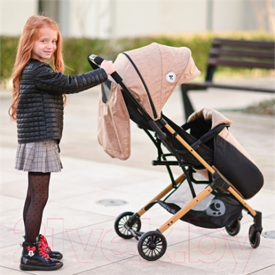 Детская прогулочная коляска Lorelli Fiona Carbon Design / 10021392192