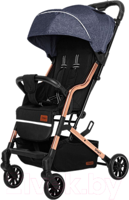 Детская прогулочная коляска Baby Tilly Smart T-169 (Ink Blue)