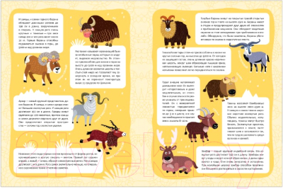 Развивающая книга Мозаика-Синтез В мире животных. Высокие горы / МС11118