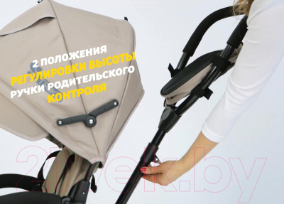 Изображение товара Трехколесный велосипед с ручкой Lorelli Neo Air Wheels Green Luxe / 10050340017
