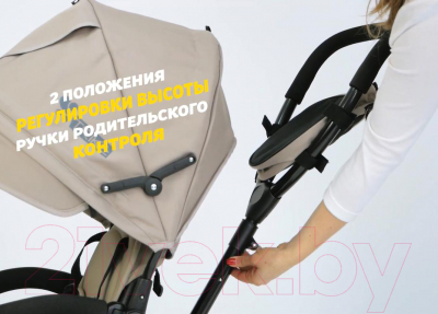 Изображение товара Трехколесный велосипед с ручкой Lorelli Neo Air Wheels Green Luxe / 10050340017