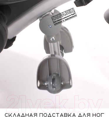 Трехколесный велосипед с ручкой Lorelli Neo Eva Grey Luxe / 10050332102