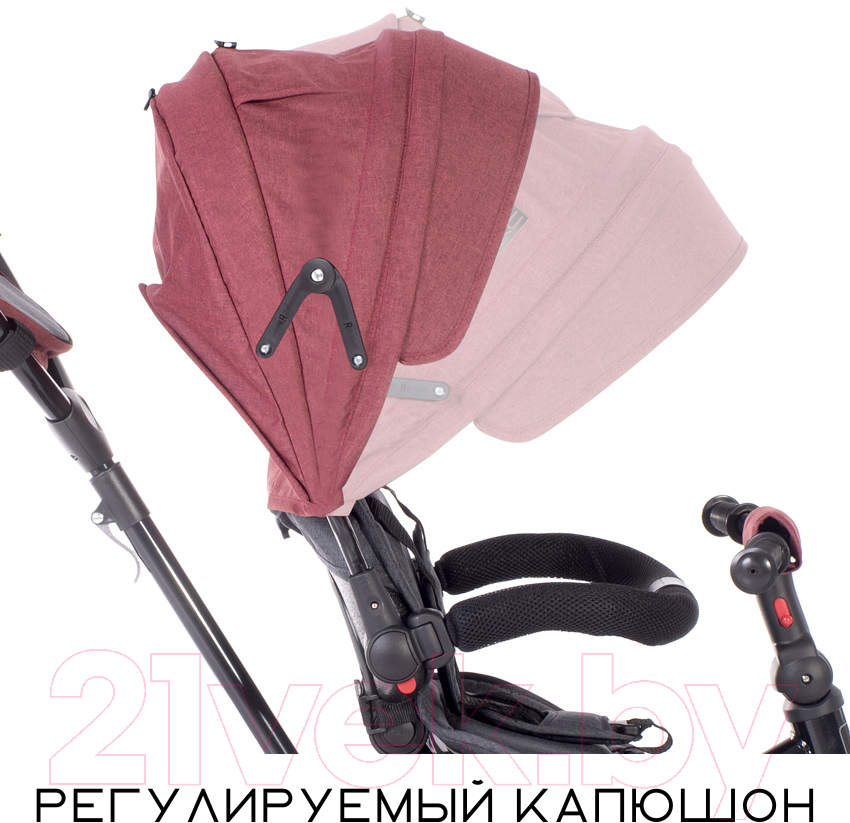 Трехколесный велосипед с ручкой Lorelli Neo Eva Red Black Luxe / 10050332103