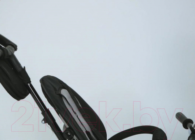 Трехколесный велосипед с ручкой Lorelli Rocket Grey / 10050372108