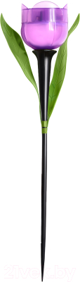 Набор светильников уличных Uniel Tulip USL-C-651/PT305 / UL-00004275 (24шт)