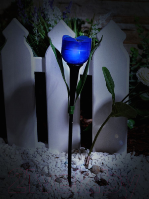 Набор светильников уличных Uniel Tulip USL-C-651/PT305 / UL-00004275 (24шт)