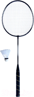 

Набор для бадминтона Atemi, BAS-12