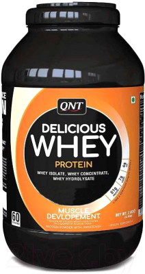 Протеин QNT Delicious Whey / I00001965 (2200г, печенье )
