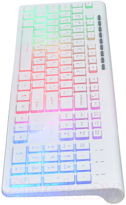 Клавиатура Oklick 490ML USB Slim (белый)