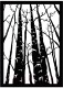 Декор настенный Arthata Лесной массив 30x40-B / 078-1 (черный) - 