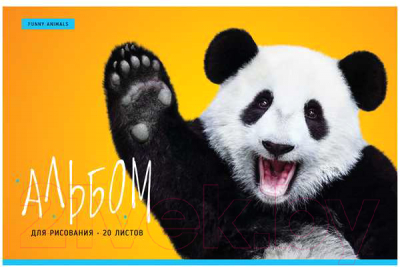 

Альбом для рисования ArtSpace, Животные. Funny Panda / А20ф-33623