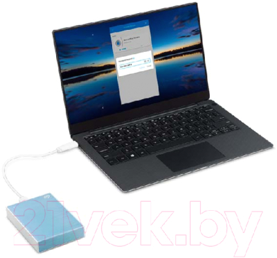 Внешний жесткий диск Seagate External One Touch 1TB Blue (STKB1000402)
