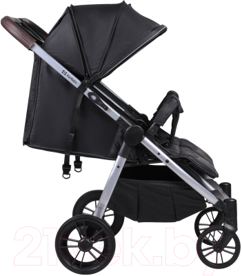Детская прогулочная коляска Farfello Lane Max Comfort (черный)