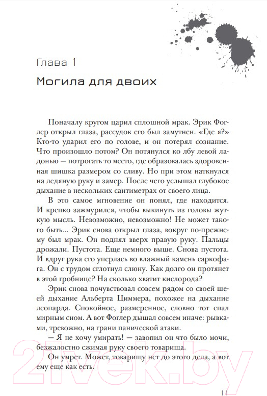 Художественная книга Попурри Эрик Фоглер и проклятие замка Мисти (Осес Б.) — фото 6