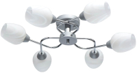 

Люстра MW light, Олимпия 638018506
