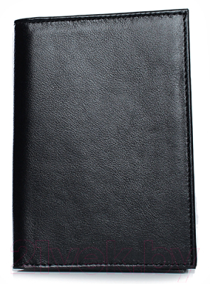 Обложка на паспорт Galanteya 39817 / 1с353к45 (черный)
