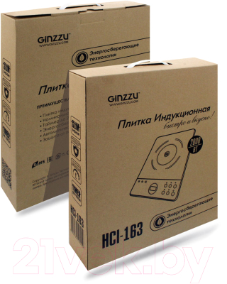 Электрическая настольная плита Ginzzu HCI-163